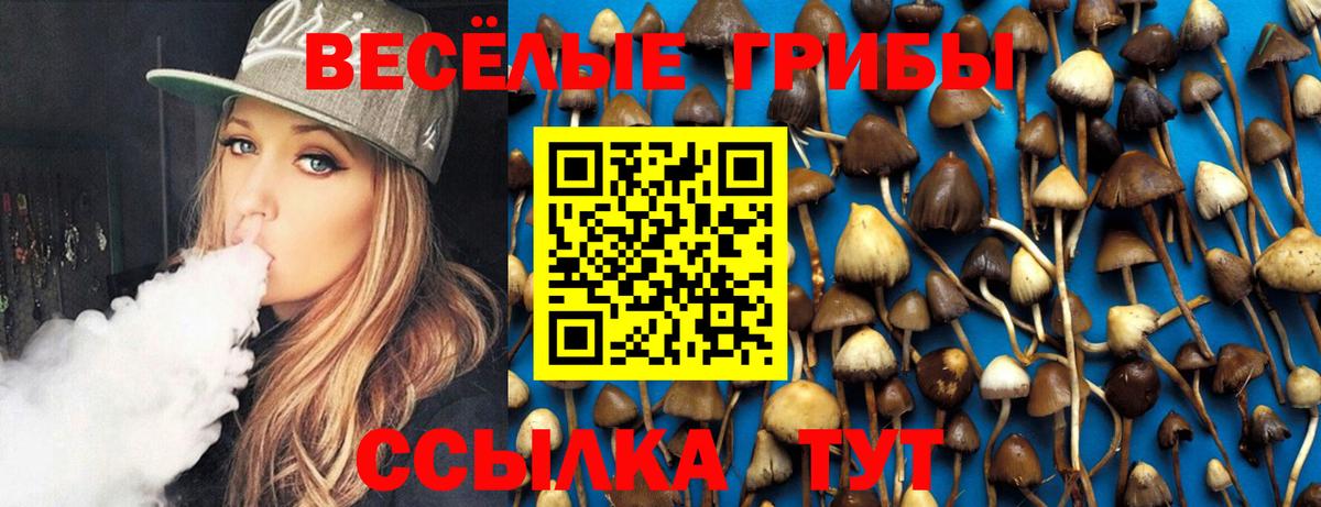 Галлюциногенные грибы MAGIC MUSHROOMS Вичуга